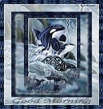 OrcaMorning.jpg image by Bevju9